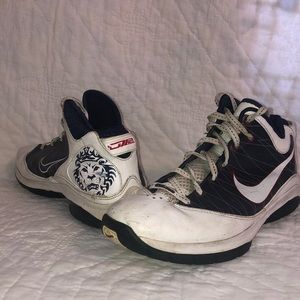 Nike LeBron Basketball Shoes